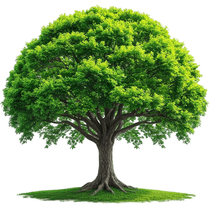A flourishing tree